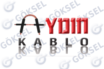 , Over 50 Years of Experience in the Automotive Sector
